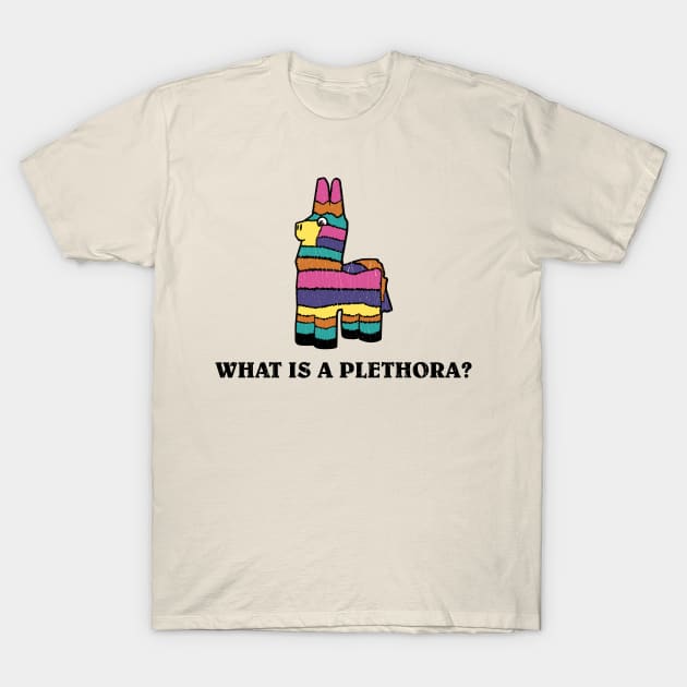 What is a Plethora T-Shirt by Braden4C